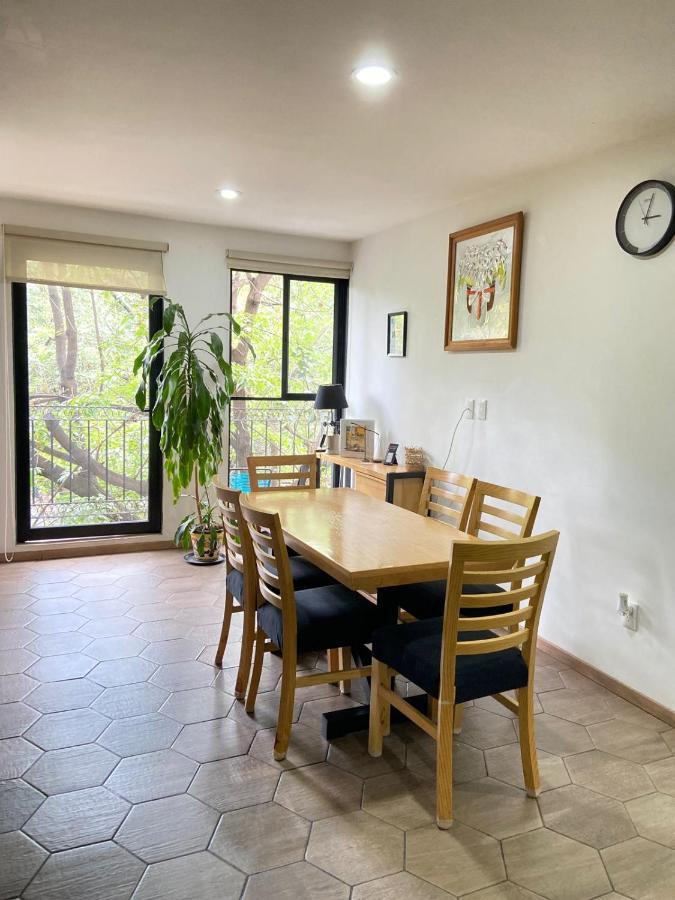 Apartment With Terrace Down Town 墨西哥城 外观 照片